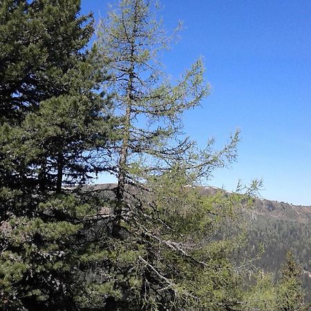 Ferienhaus Gstoderblick Seebach  المظهر الخارجي الصورة