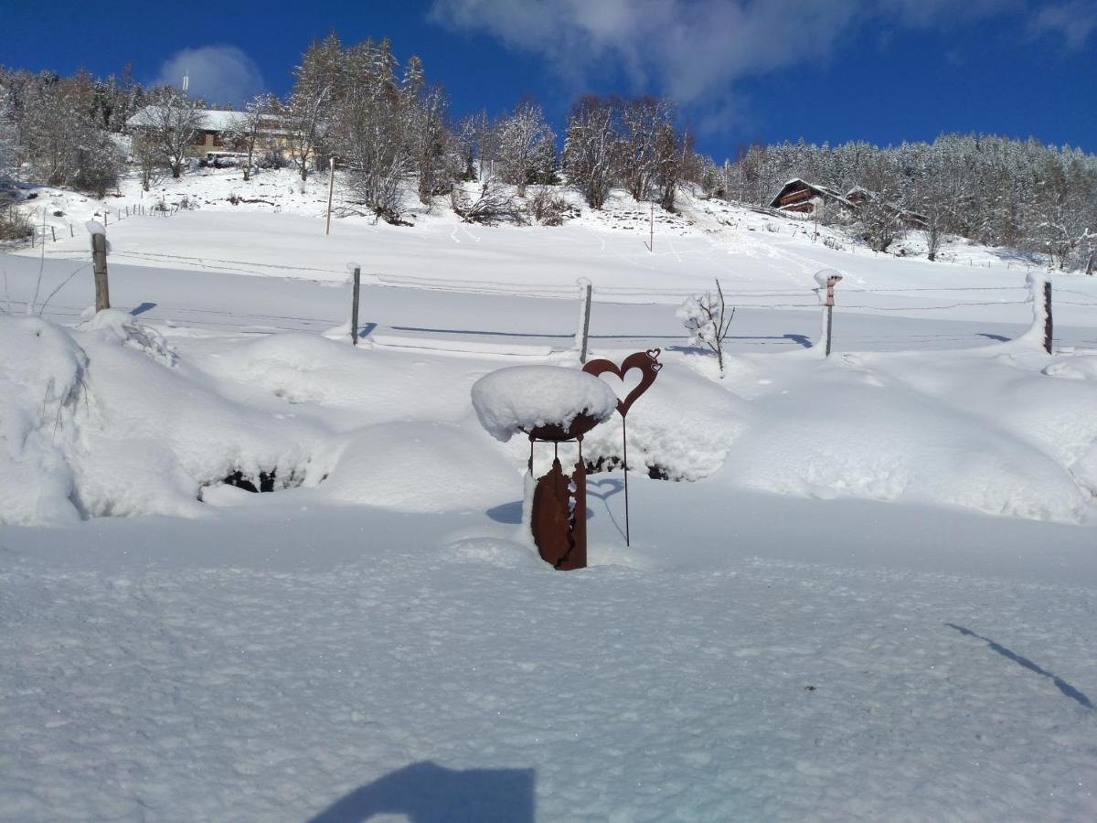 Ferienhaus Gstoderblick Seebach  المظهر الخارجي الصورة