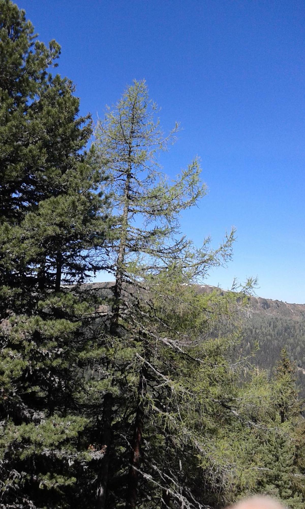 Ferienhaus Gstoderblick Seebach  المظهر الخارجي الصورة