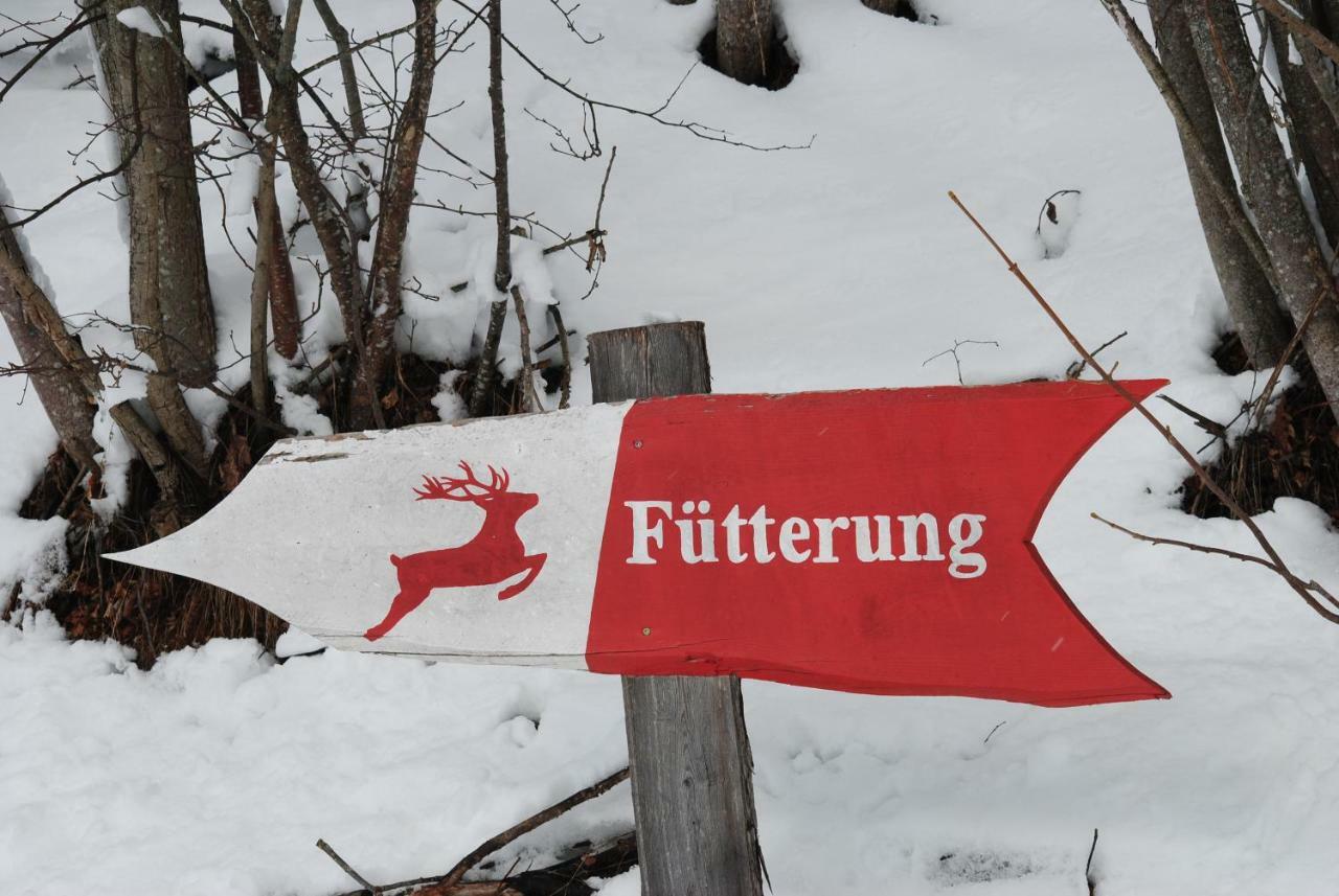 Ferienhaus Gstoderblick Seebach  المظهر الخارجي الصورة